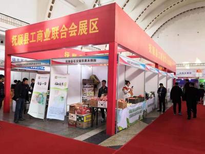 2019辽宁省民心品牌产品展览会开幕