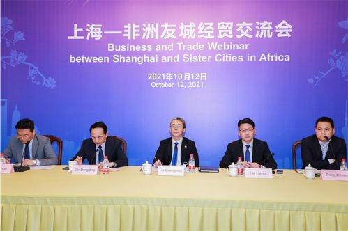 上海 非洲友城经贸交流会 在线举行
