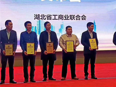 湖北程力集团荣获湖北民企第四位