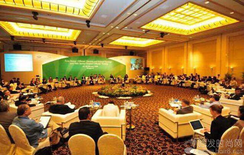 盛世华美 丽承天下 中华全国工商业联合会美容化妆品业商会二十周年庆典,盛世启幕