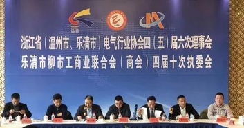 电气大咖聚首柳市 共谋经济发展新篇章——商业联合会专题研讨会纪实