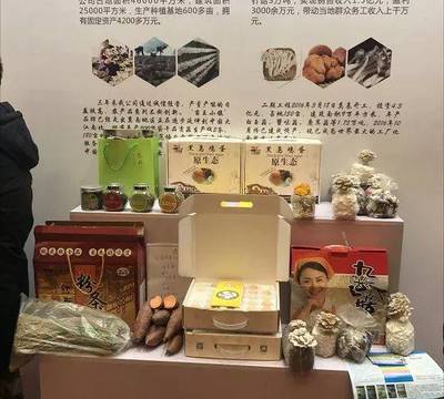 盘点今年,临西多次亮相国际、省、市展览会!