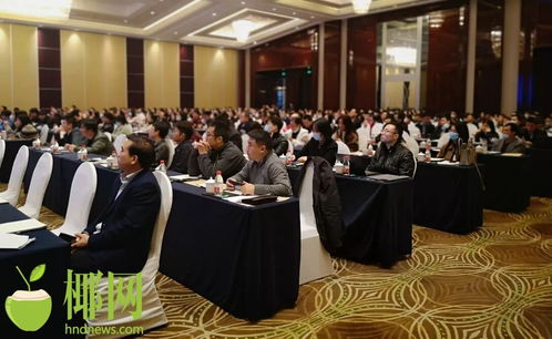 宁波企业看好海南自贸港发展机遇，积极参与招商推介